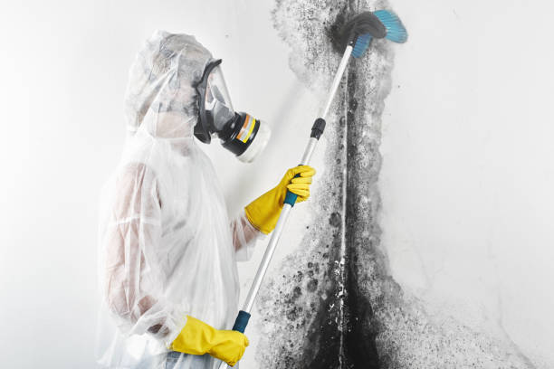 Best Air Quality Testing for Mold Spores  in Dandridge, TN