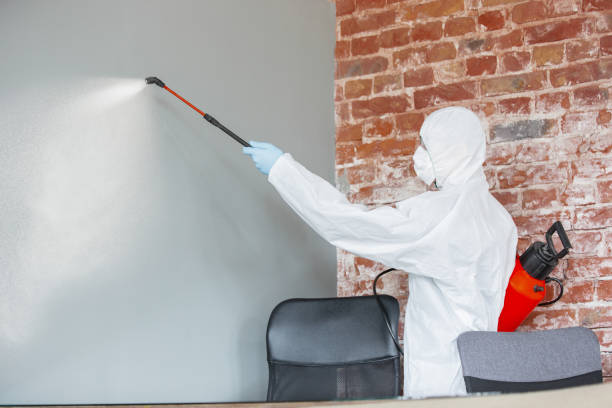 Best Mold Remediation for Rental Properties  in Dandridge, TN